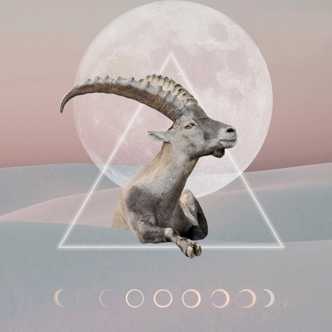 New Moon in Capricorn