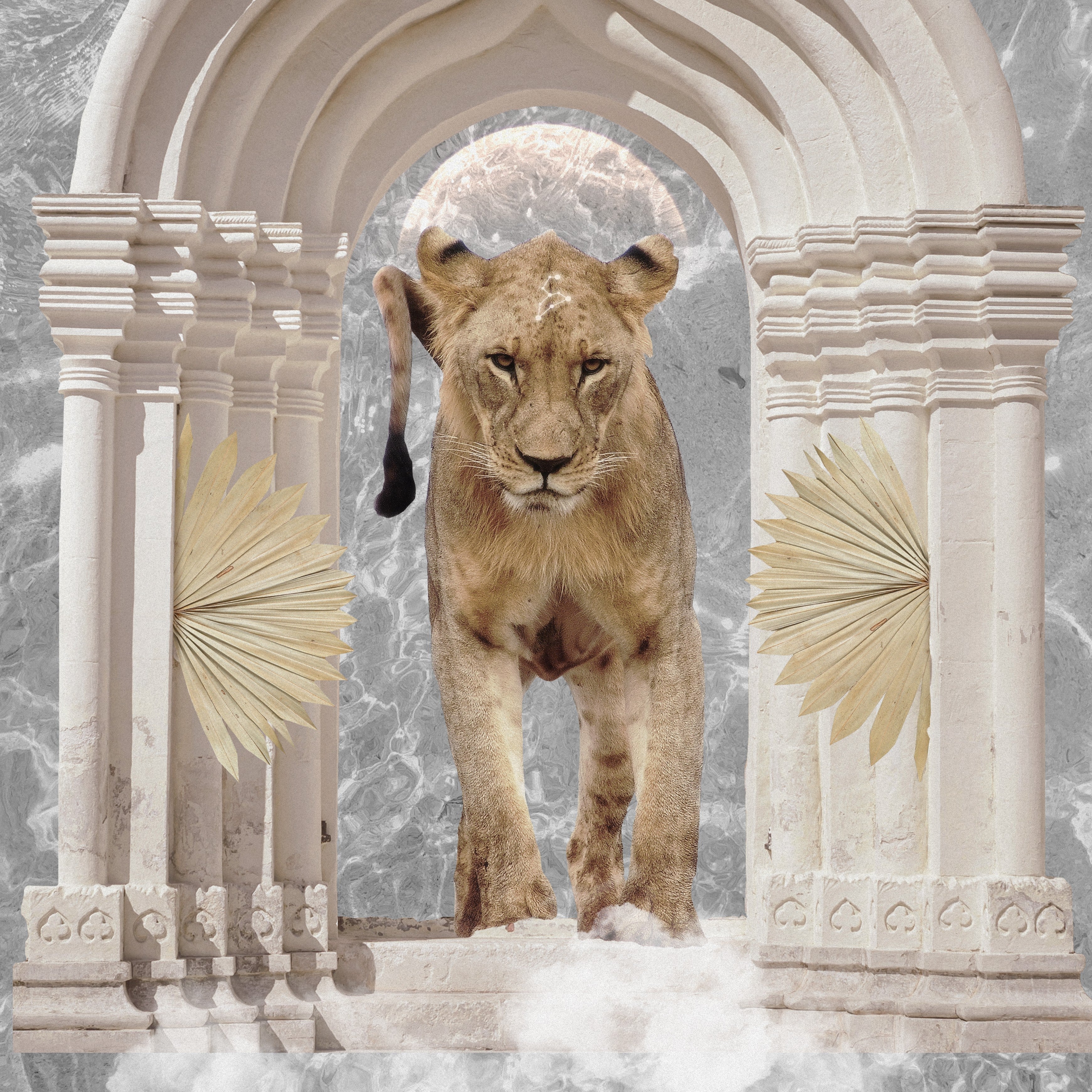 Full Moon in Leo