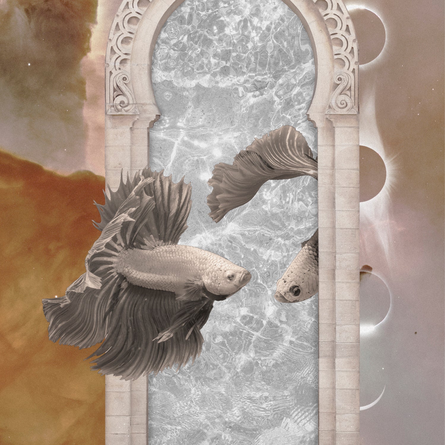 New Moon in Pisces