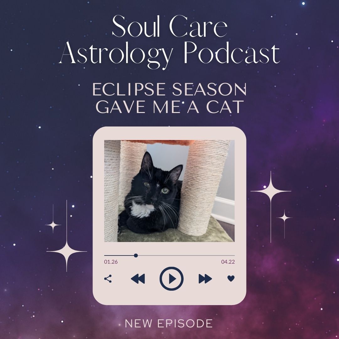 How Eclipse Season Gave Me a Cat