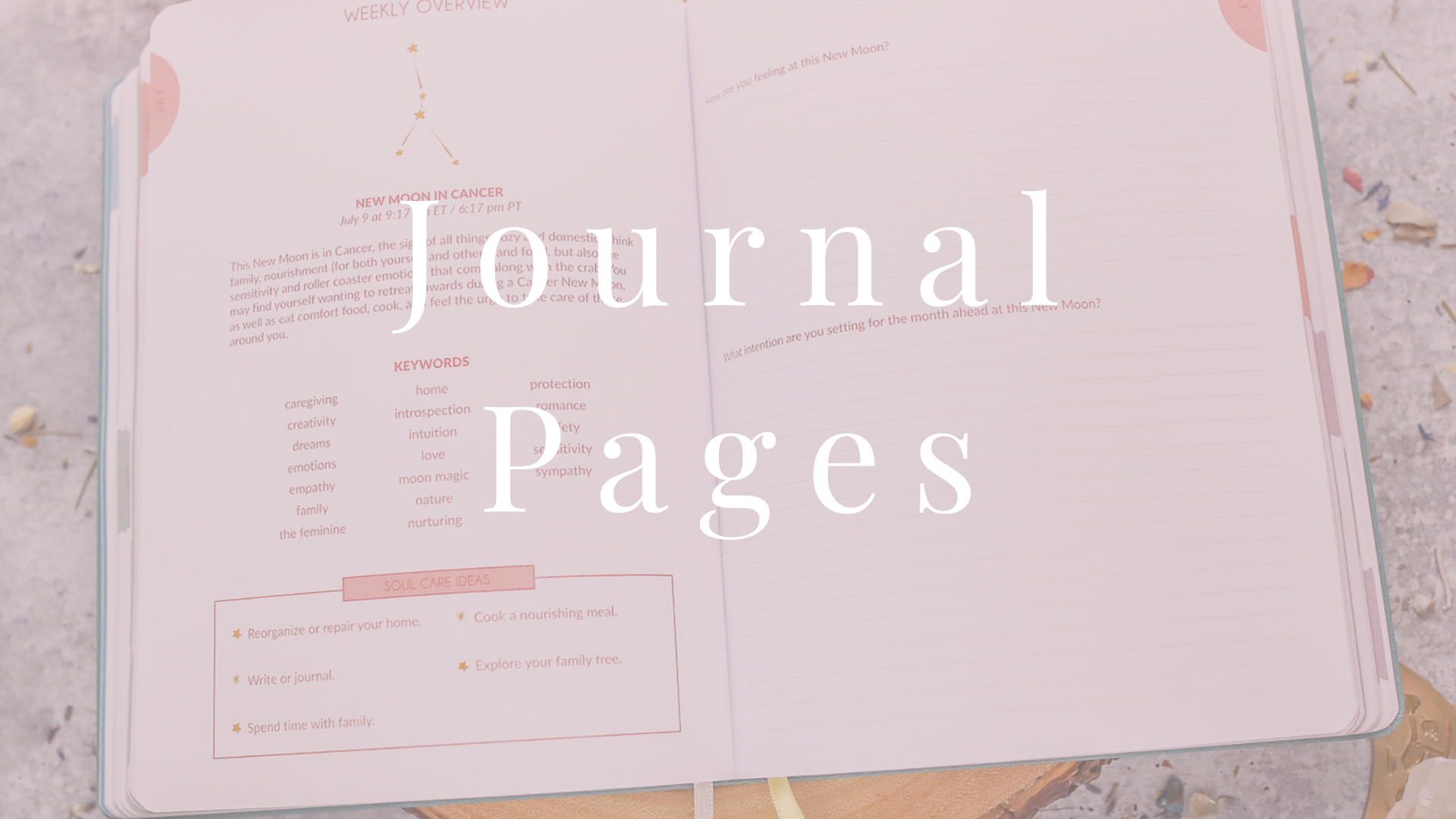 Journal Pages (2021_11_10 15_36_24 UTC).png__PID:65421d72-b440-48a1-b920-3a95b3c7536b